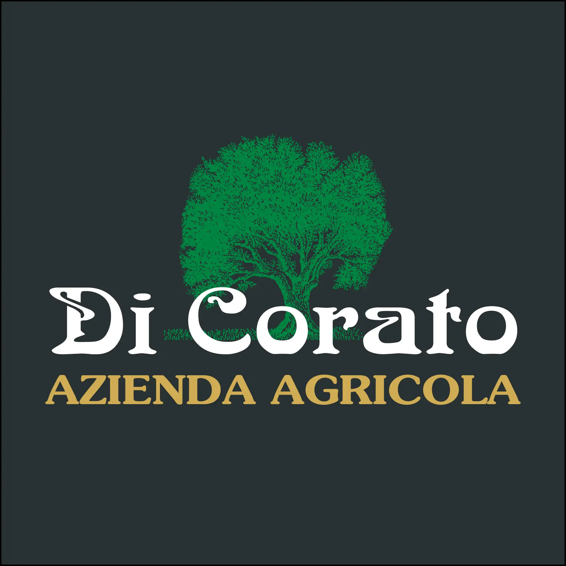 Logo Azienda