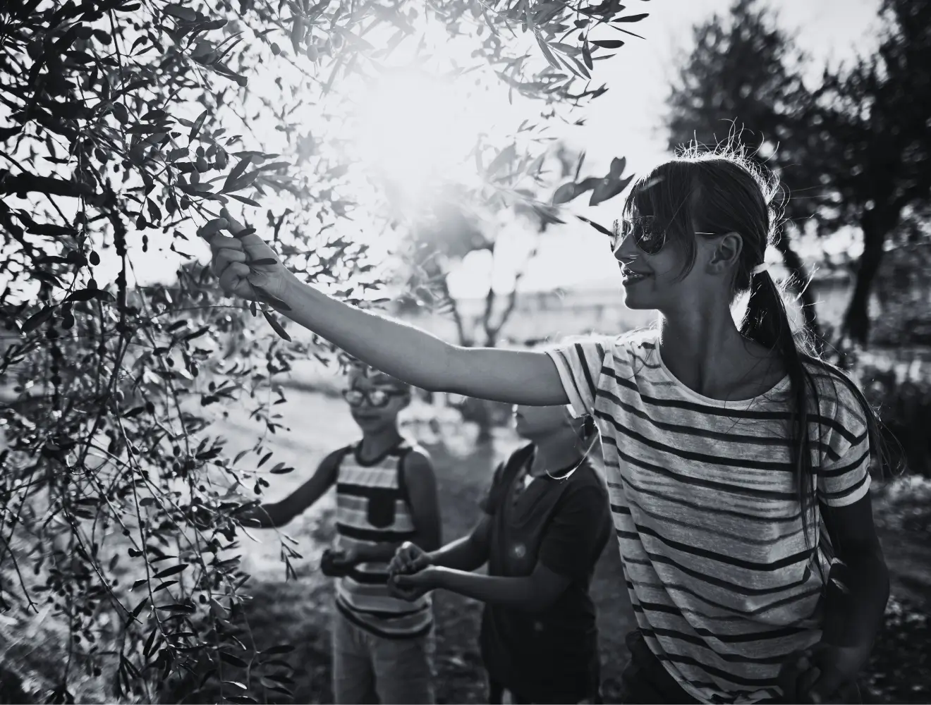 Sperlonga production facility